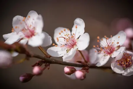 再次封控，时隔一周，隔离一周…