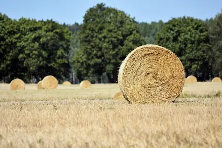 再见2021，你好2022！