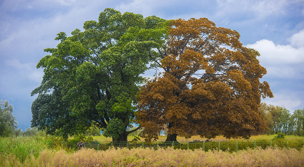 疫情下的焦躁，二次封控来袭……