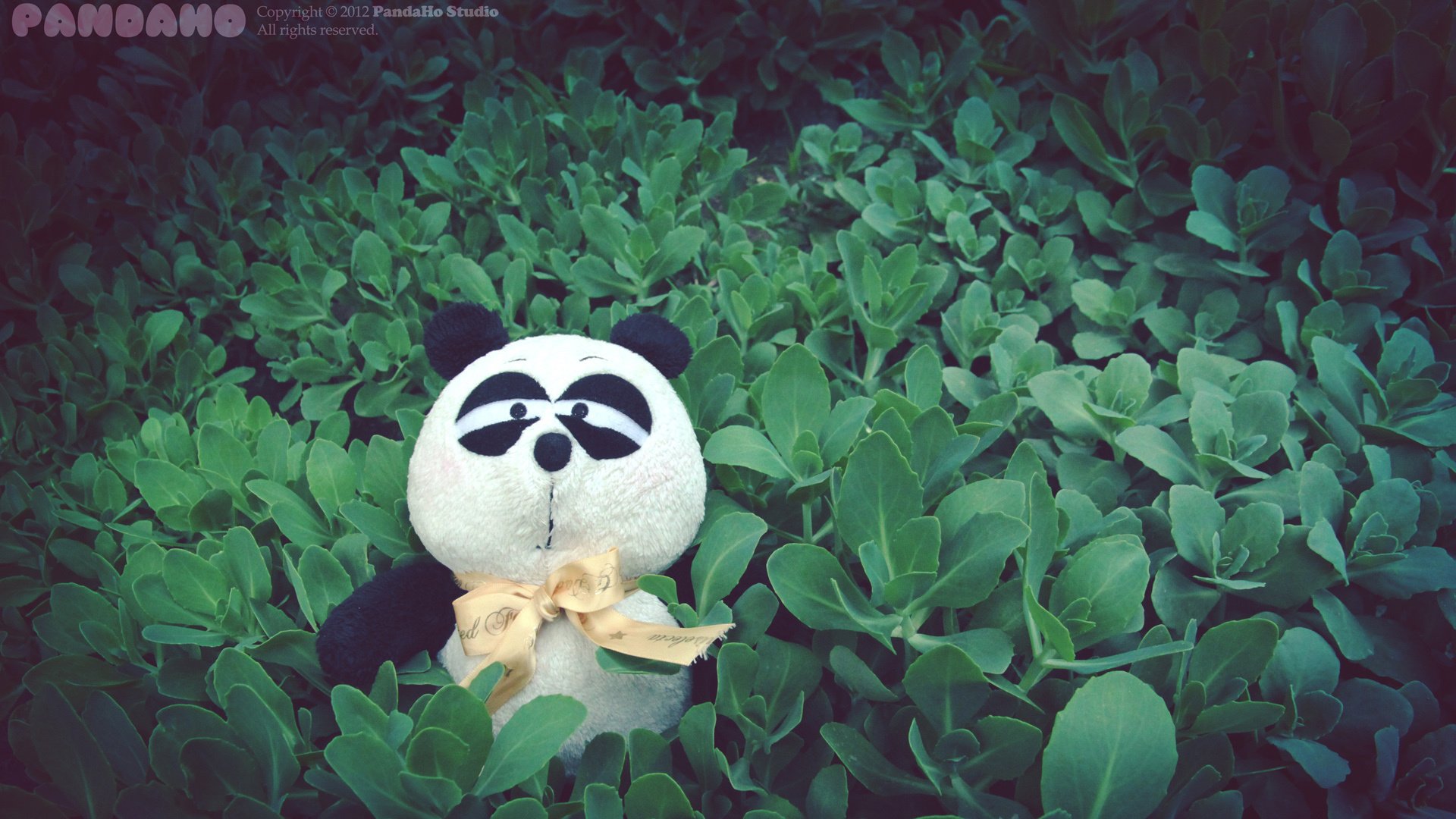 已经过了可以矫情的年龄