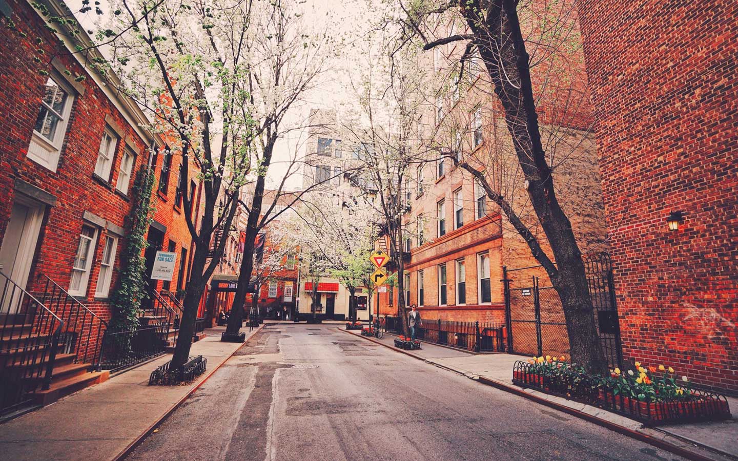 致青春，人到中年