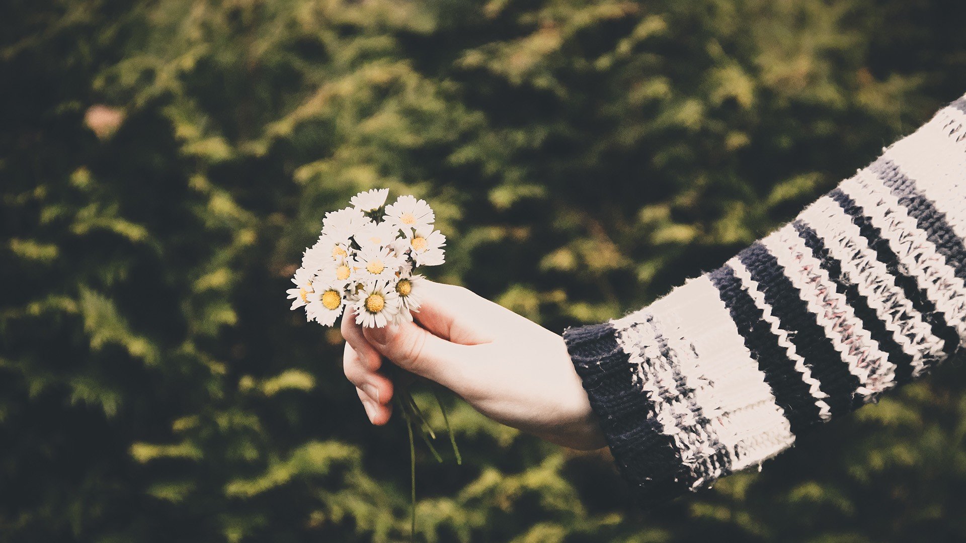 关于我阳了这件事……